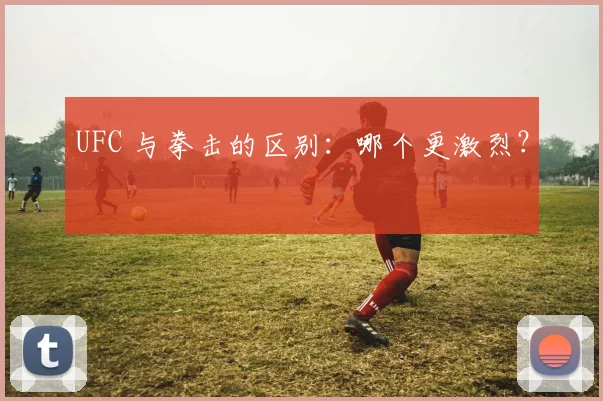 UFC 与拳击的区别:哪个更激烈?